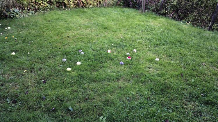 Udvalg. Tennisboldene på plænen i Virum har været i flere størrelser og aldre. 