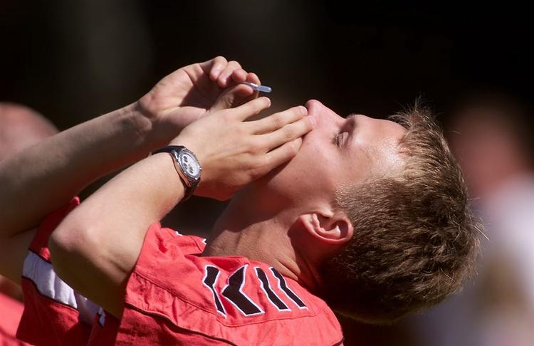 Undersøgelsen fra Ohio universitetet viser, at stresssituationer forværrer og forlænger allergiske anfald. (Arkivfoto) 