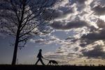 selvforskyldt. Nogle hundeejere mener, at problemet med lorteposer i skovene er skovenes eget problem. Hundelorten blev samlet op i en pose, men efter at have båret på den i en halv time bliver densmidt på jorden. »Det er 'deres' egen fejl, at der ikke er en skraldespand«, lyder det anklagende. 