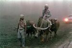 vulkanudbrud. Vulkanen Pinatubo var i udbrud i 1991. Udbruddet var så voldsomt at det påvirkede klimaet og sænkede temperaturen med 0,4 grader. (arkiv) 