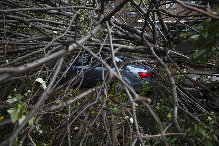 SKADER. Bil under væltet træ på Manhattan. Ti mennesker meldes foreløbigt dræbt i byen New York efter stormen Sandy. 