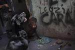 Vuf. Den skal bare holde sig væk. Og dø, mener narkobaronerne i Rio de Janeiro. Det fremgår ikke dog ikke af billedbureauet AP, om det er 'Boss' på billedet her. 