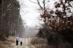 efterladenskaber. Flere steder giver det sig selv, at man blot kan lade hundelorten ligge. Billedet er fra Jyderup Skov i Odsherred Kommune på Sjælland. 