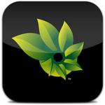 Photosynth