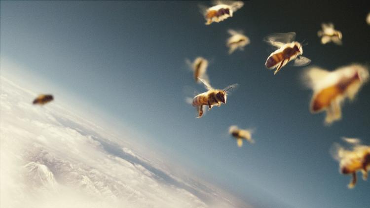 publikumspris. Der er ti film nomineret til årets publikumspris på CPH:DOX. Læs mere om de nominerede nedenfor. Her er det et stillbillede fra storfilmen 'More Than Honey', der fortæller historien om, hvorfor det er et globalt problem, når bierne ikke trives på på planeten. 