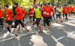 LØBERE. Central Park i New York var søndag befolket af løbere, der pårindelig skulle have løbet maraton i byen. 