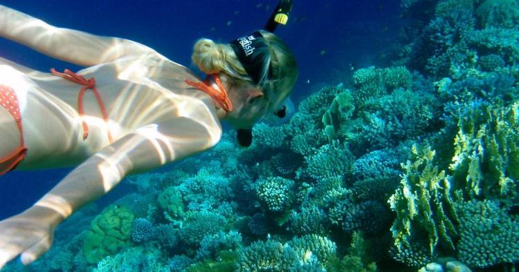 Mangfoldighed. Former og farver eksploderer, når man snorkler rundt om The Blue Hole ved Dahab i Egypten. 