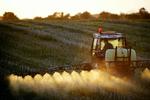 SPRØJTEGIFTE. En kritik af landbrugets sprøjtegifte, der ender i drikkevandsboringerne, fik landbrugsorganisation til at trække Danmarks Naturfredningsforenings tidligere direktør i retten. 
