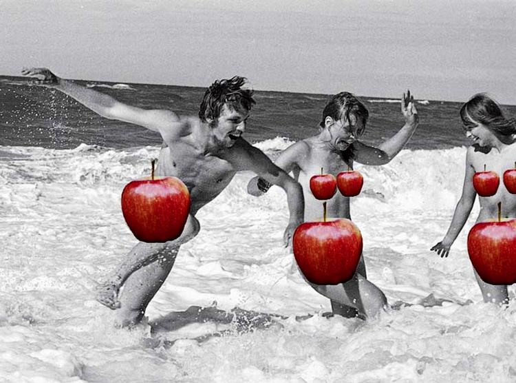 Afvist. Heller  ikke Peter Øvig  Knudsens 'Hippie' 1 og 2 med æbler for de blottede kønsdele vil Apple sælge. Efter få  dage i iBookstore er bøgerne nu  fjernet. 