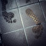 Svømning. Fire svømmehaller giver særlige tider til etniske minoritetskvinder og -piger for at få dem indlemmet i Københavns foreningsliv. 