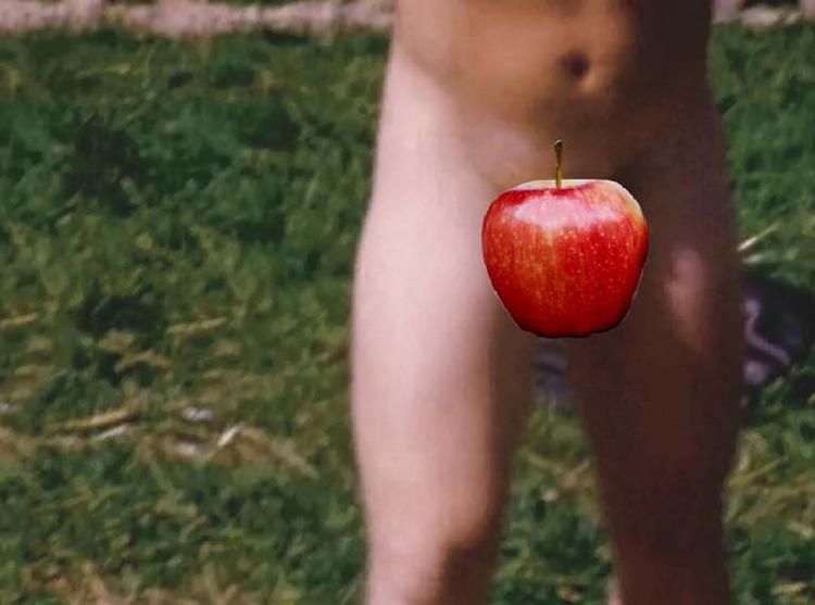figenæble. Først krævede Apple, at Peter Øvig Knudsen censurerede sine to Hippie-bøger for kønsdele, bryster og seksuelle motiver. Siden har Apple også fjernet den ellers æble-censureret udgave af bøgerne fra butikken. 