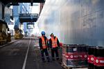 Stort. Selv om A.P. Møller Mærsk har et af verdens største containerskibe i sin flåde, Eleonora Mærsk, så lader indtjeningen vente lidt på sig. 