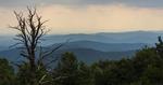 NATURSKØNT. Blue Ridge Mountains er en del af Great Smokey Mountains National Park, der er USA's mest besøgte nationalpark og i øvrigt gratis. 