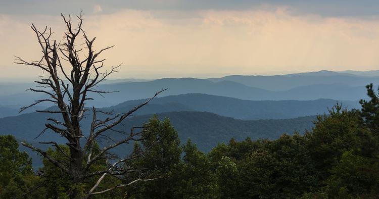 NATURSKØNT. Blue Ridge Mountains er en del af Great Smokey Mountains National Park, der er USA's mest besøgte nationalpark og i øvrigt gratis. 