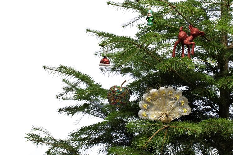 pynt. Er et flertal i en boligforening, der har truffet en demokratisk beslutning, ikke et eksempel på »dansk kultur«? Nej, for fanden da! Ikke hvis de bestemmer noget andet end dét, DF og K på Christiansborg ønsker. 