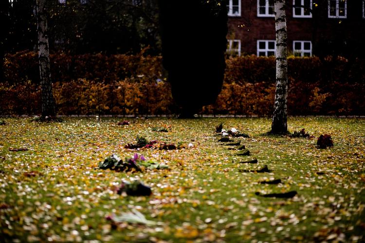 FÆLLESGRAV. På Birkelunden kirkegård på Frederiksberg ligger urnegravstederne på række her på de ukendtes grav. 