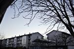 UENIGHED. En strid om, hvorvidt man skulle bruge penge til et fælles juletræ, har udløst en stor konflikt i Egedalsvænge i Kokkedal. 