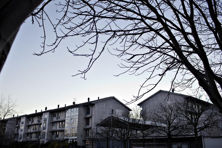 UENIGHED. En strid om, hvorvidt man skulle bruge penge til et fælles juletræ, har udløst en stor konflikt i Egedalsvænge i Kokkedal. 