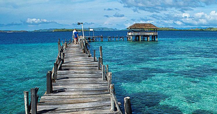 Badekar. Området øst for Bali og Lombok i Indonesien byder både på fascinerende øglekræ og smukke tropeøer. 