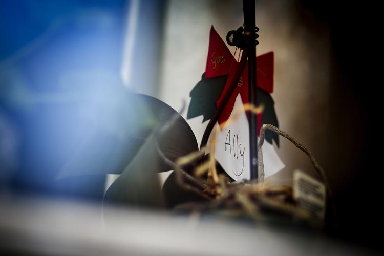 Minde. En plante i stuevinduet fortæller, at Ally Johanne Pedersen boede i lejligheden på Hothers Plads på Nørrebro. 