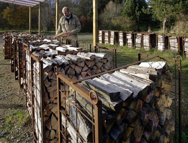 sankebrænde. Den planlagte afgift på brænde vil fordoble prisen på det træ, folk sanker i skovene, lyder det fra Dansk Skovforening. 
