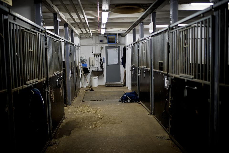 Fotosiden: Slut med politiheste