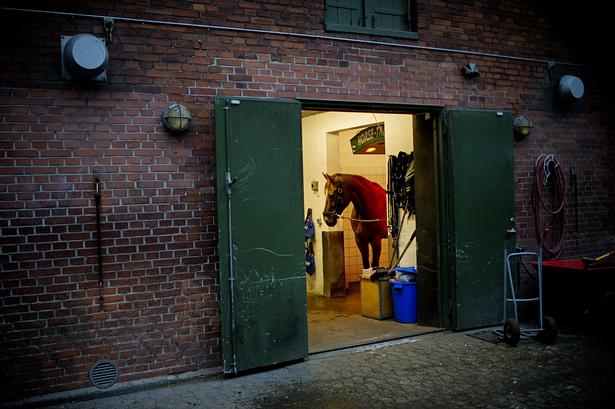 Fotosiden: Slut med politiheste