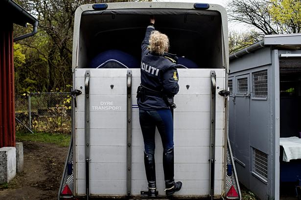Fotosiden: Slut med politiheste