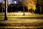 UKENDTE. Når kommuen begraver sine borgere, bliver de altid bisat. Urnen kommer i de ukendtes fællesgrav, som her på Birkelunden på Frederiksberg. 