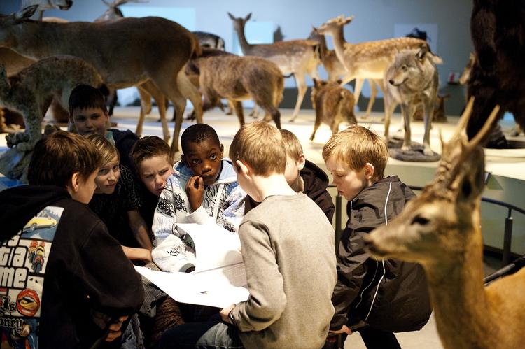 museumsbesøg. Der er stor forskel på, hvor mange der besøger naturhistoriske museer alt efter om man spørger Dansk Statistik eller Kultuministeriet. 