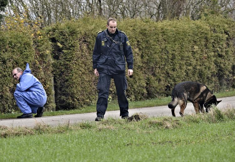 Jagt. Fyns Politi har afsat mange medarbejdere til at finde gerningsmanden for de to sexkrænkelser mod en 10-årig og en 11-årig pige. 