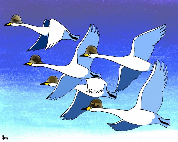 Tegning: Anne-Marie Steen Petersen 