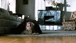 Uha-da-da. I 'The Possession' slipper en ond dæmon fra helvedes forgård løs og trænger ind i sit offers sjæl med en altfortærende ondskab. 