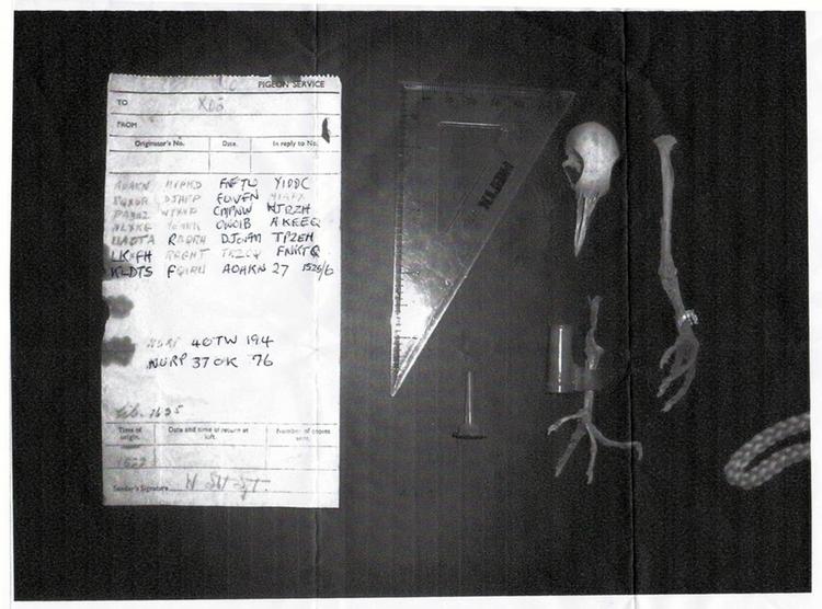 HEMMELIGHED. Her er det, som en britisk mand fandt i sin skorsten, da han ville renovere sin kamin. 