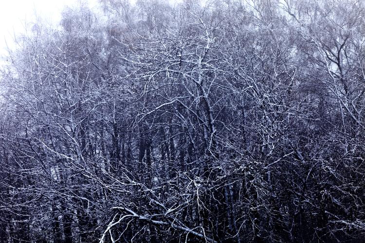 Koldt. Fra næste uge falder temperaturerne. 