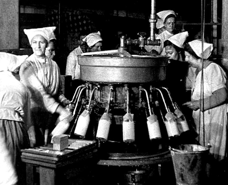 Tapper.  Medarbejdere  i mejeriet Enighedens tapperi, 1922. I flere årtier var Enigheden førende inden for hygiejne og mælkeproduktion. I 1996 overtog MD Food Enigheden, som blev lukket umiddelbart efter. 