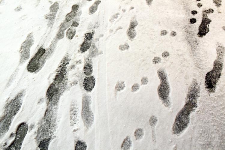 Brrrrrr. DMI spår, at det bliver mere og mere vinterligt, jo længere frem vi kommer i ugen. Fredag bliver sneen liggende og i weekenden kan vi nå ned på 10 minusgrader. 