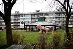 Træstrid. Den aflyste julefest i  Egedalsvænge i Kokkedal har skabt  overskrifter. Spørgsmålet er, om der overhovedet kommer noget nåletræ op på toppen af bebyggelsens 'kineserhus' i år, som det har været traditionen i 25 år - uanset hvem der vælges til bestyrelsen onsdag aften. 