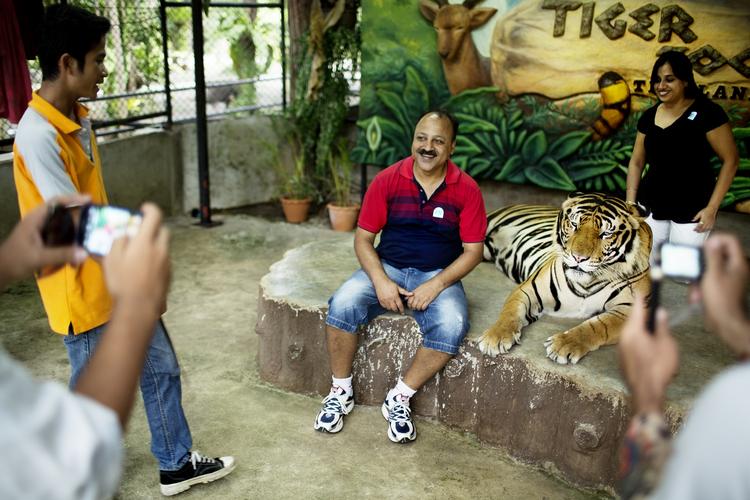 Man kan også betale for fotos med en voksen tiger. Den er dopet, så den ikke følger sine naturlige instinkter. 