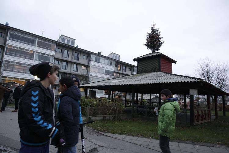 JULETRÆ. Efter lang tids strid er juletræet i Egedalsvænge endelig kommet op. 