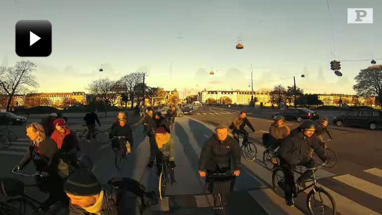 Cykelmyg. Vi lod et Go Pro-kamera tage et billede hver andet sekund i et par timer på en kold efterårsmorgen samt ved fyraftenstid ved Dronning Louises Bro - en af Københavns Kommunes og Europas og mest cykeltrafikerede broer. 