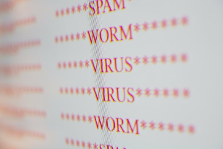 VIRUS. Virusen er en gammel kending. Den så første gang dagens lys i Danmark tilbage i 2009. 