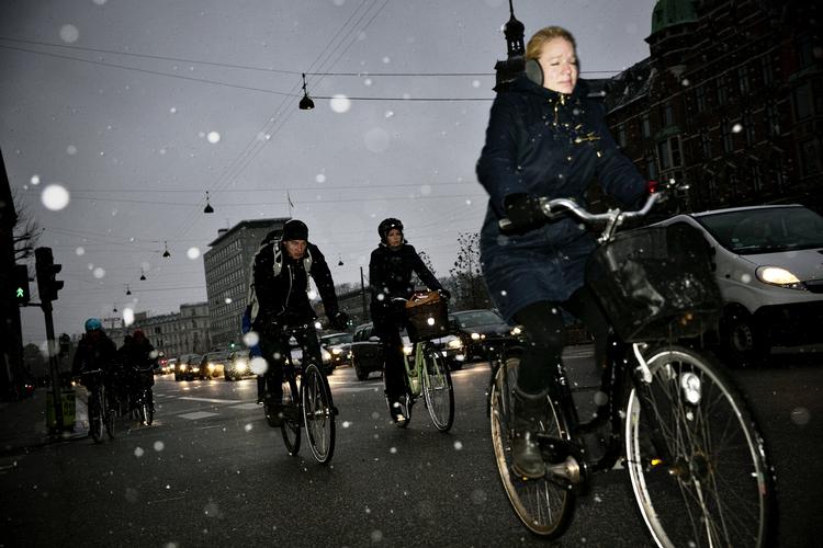Koldstart. Cyklister på vej i morgentrafikken i København. 