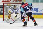 lockout. NHL-spillere optræder nu i europæiske ligaer flere steder i Europa. 