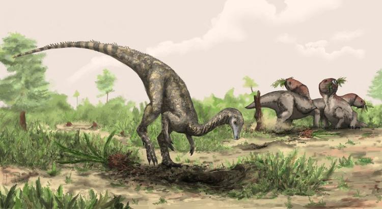 FORHISTORISK. Nyasasaurus Parringtoni er det ældste fossil, man nogensinde har fundet og som menes at stamme fra en dinosaurus. 
