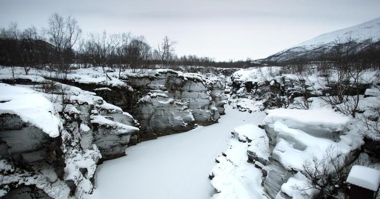 Jogging. Abisko Nationalparken indbyder til vandrerture, men det er klogt at have følgeskab i tilfælde af en snestorm. 