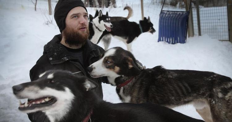 Hundeliv. Bertil Liljemarks slædehunde er hårdføre og kommer kun ind, når temperaturen sniger sig ned på minus 35 garder. De går ikke på pension, men bliver aflivet, når de ikke kan mere, for de kan ikke klare at ligge hjemme i sofaen. 