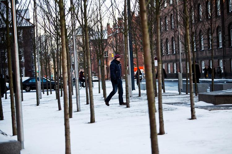 Lunden. Det er skønt at gå mellem kirsebærtræer lige ved siden af Rådhuspladsen. Natur og by mødes på en behagelig måde. 