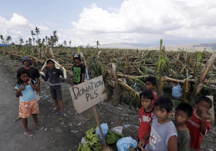 hjælp! Beboere fra den lille by Montevista beder forbipasserende om hjælp efter tyfonen Bophas hærgen. 