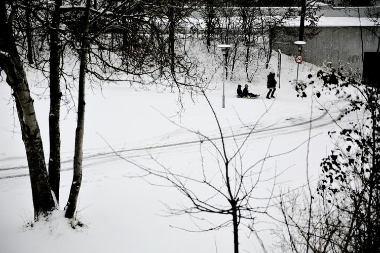 Koldt. Den bliver liggende, sneen, og det er jo godt for nogen. Ikke så meget for bilisterne. Men alle med en kælk er meget godt tilfredse som her i Albertslund i går. 